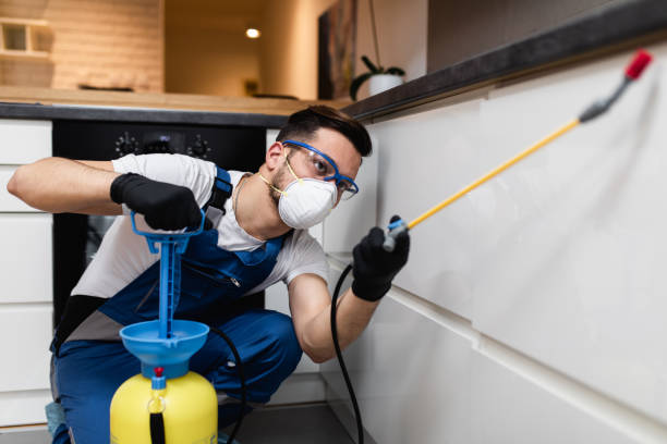 Best Pest Prevention Services  in Salem, AR