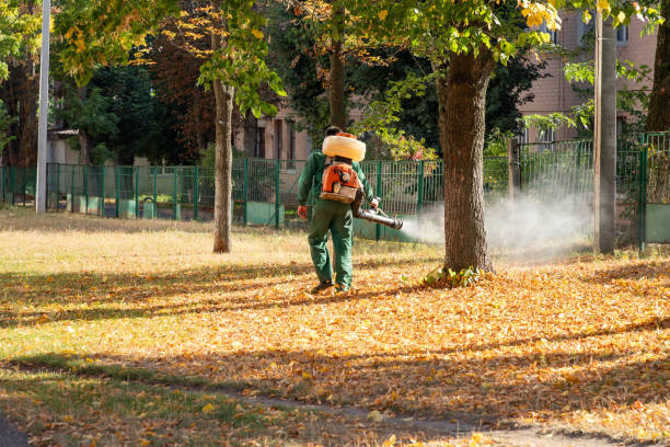 Best Residential Pest Control  in Salem, AR