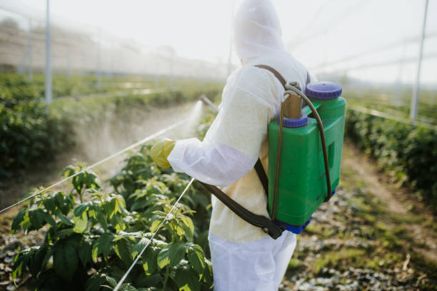 Best Exterminator Services  in Salem, AR